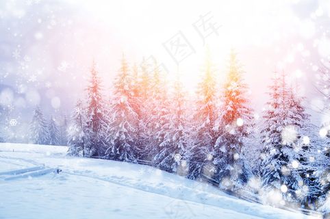 梦幻树林雪景