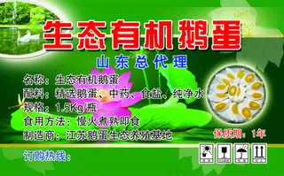 生态有机鹅蛋