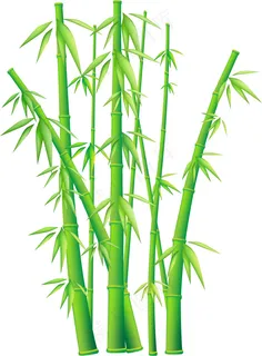 翠绿的竹子矢量素材 翠绿的竹子矢量素材