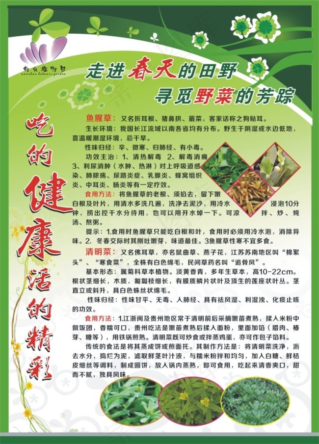 春天植物园cdr矢量模版下载