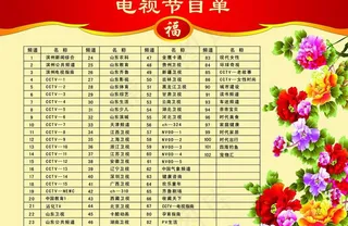 电视节目单图片