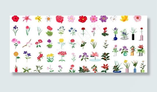 处理好的花图片