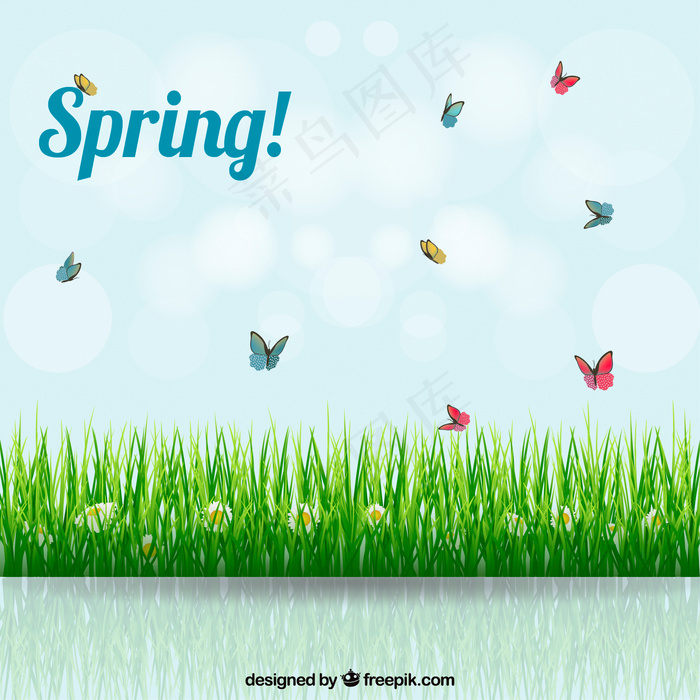 有草地的春天