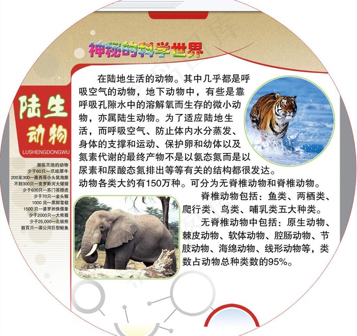 神秘的科学世界图片