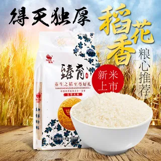 五常大米直通车图设计新米上市稻花香...