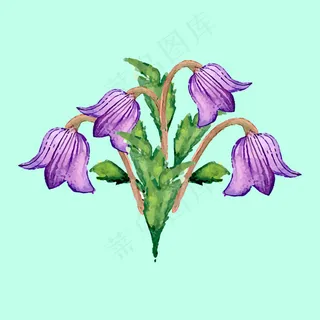 手绘水彩效果植物花卉