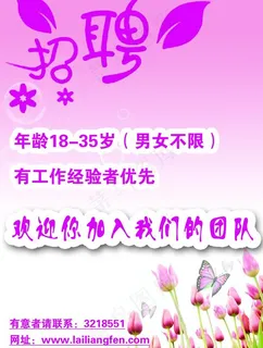 招聘粉色背景图片 招聘粉色背景图片