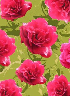 艺术玻璃推拉门月季图