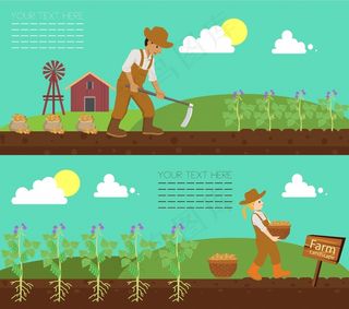 农业农场勤劳额爱的农民