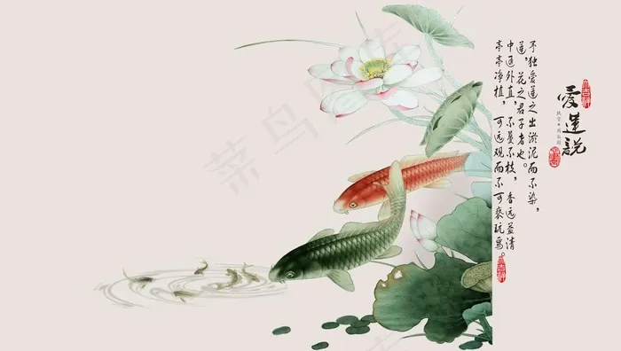 国画荷花 连年有余图片psd模版下载