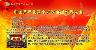 中国共产党第十六次全国代表大会图片