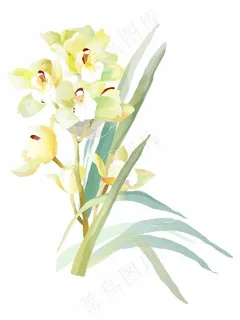 花束图片 花束图片