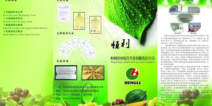 蔬菜四折页图片(4559X2551(DPI:300))psd模版下载