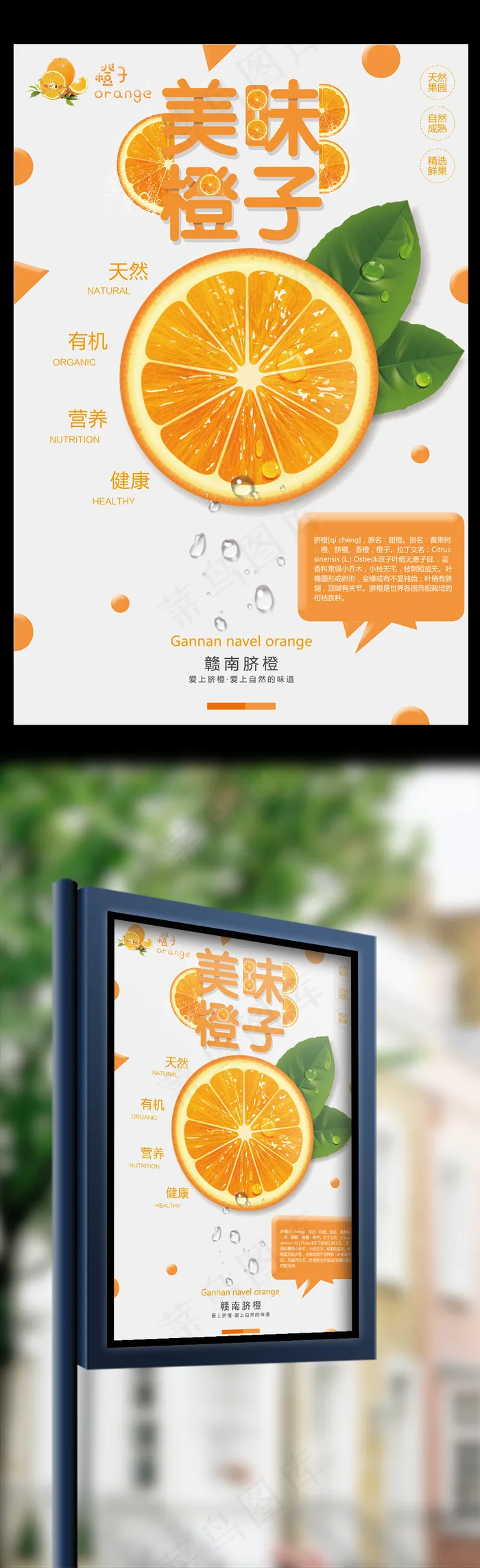 极简风格大气赣南脐橙户外海报psd模版下载