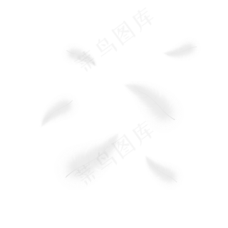 轻盈白色漂浮长羽毛