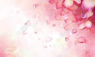 唯美花瓣psd分层素材图片