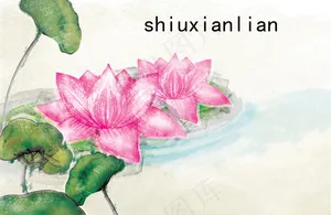 荷花花纹素材