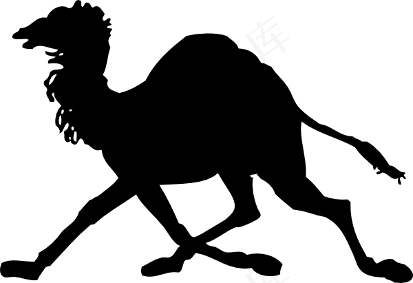 骆驼的剪辑艺术