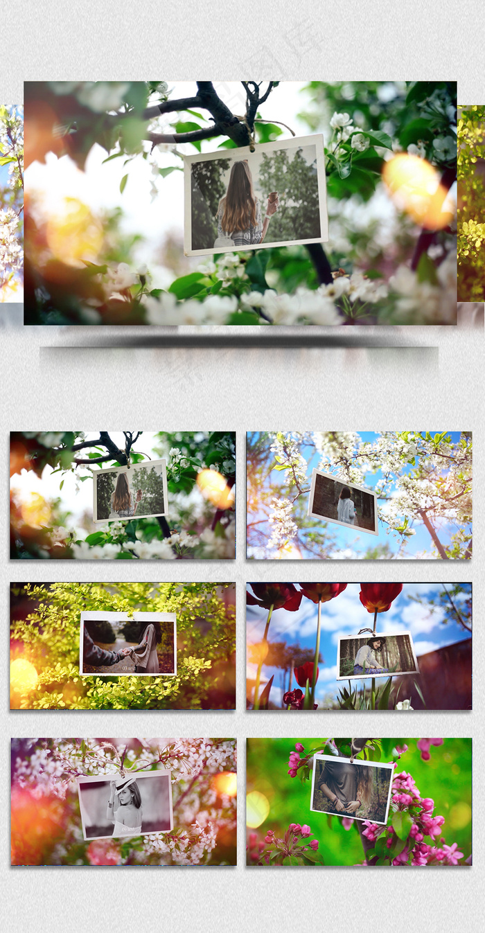 2019彩色时尚文艺清新照片展示A...