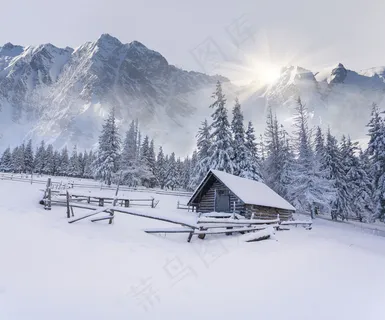 美丽树林雪山风景 美丽树林雪山风景