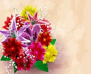 花卉 植物 鲜花图片