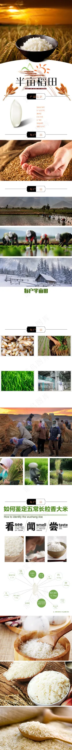 半亩稻田大米详情页