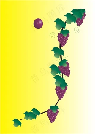 高清矢量COR葡萄