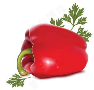 蔬菜和水果的矢量素材