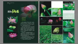 生活人文杂志内页图片