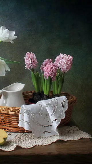 暗色调背景花艺高清摄影图片