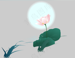 月光下的荷花flash动画