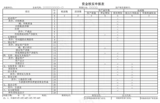 资金核实申报表