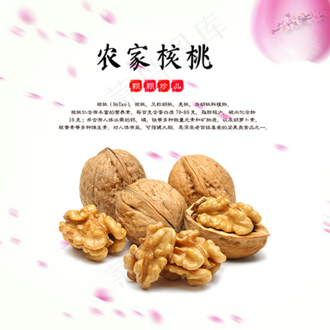 农家核桃宣传海报psd分层素材