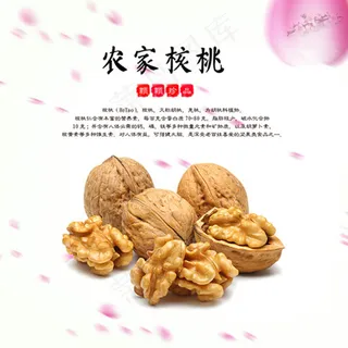 农家核桃宣传海报psd分层素材