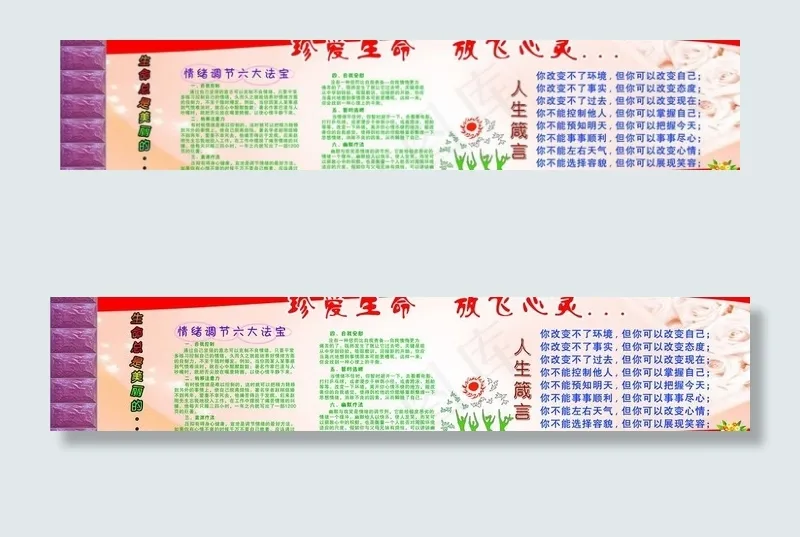 真爱生命 放飞心灵图片