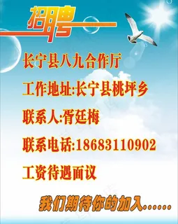 联通招聘写真图片 联通招聘写真图片