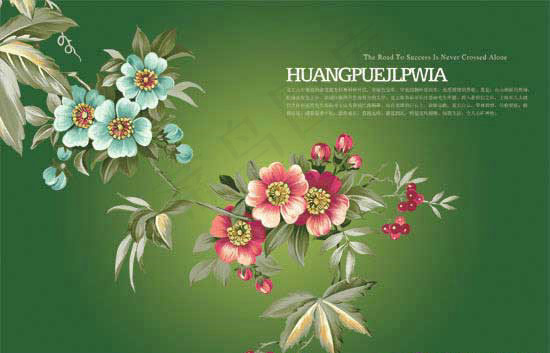 花卉花朵树叶PSD素材