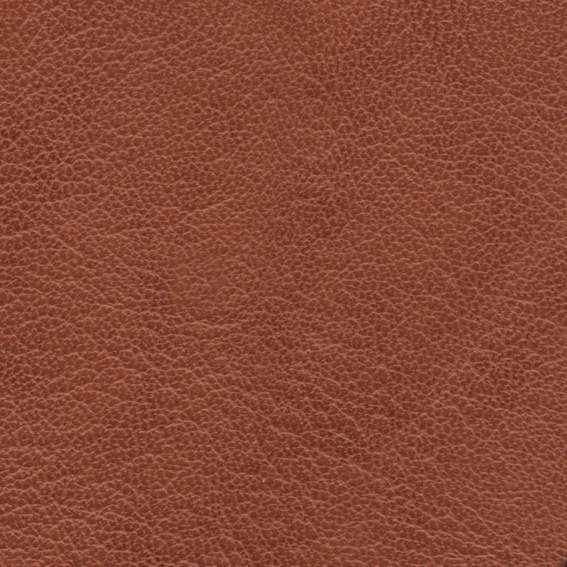 现代会议室模型