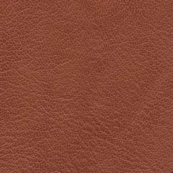 现代会议室模型