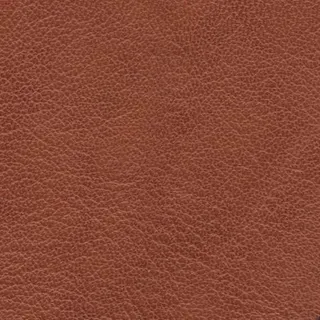 现代会议室模型