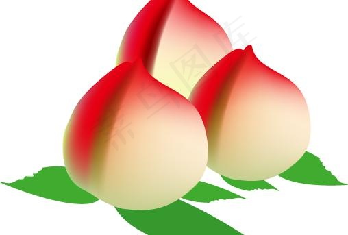 桃子--ai格式图片