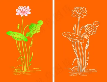 荷花 线条图 配色图图片