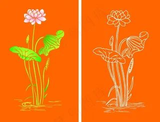 荷花 线条图 配色图图片