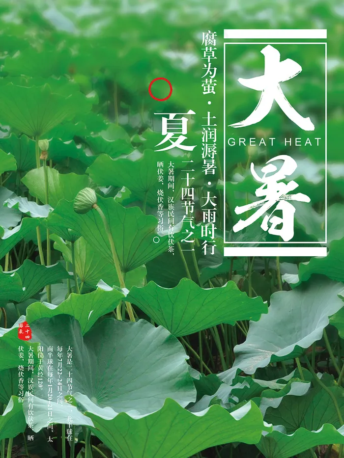 大暑创意简约商业海报(3543X4724(DPI:150))psd模版下载