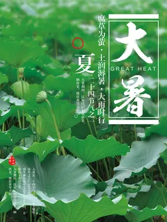 大暑创意简约商业海报