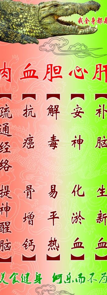 鳄鱼易拉宝图片