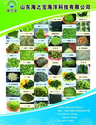 海之宝易拉宝图片