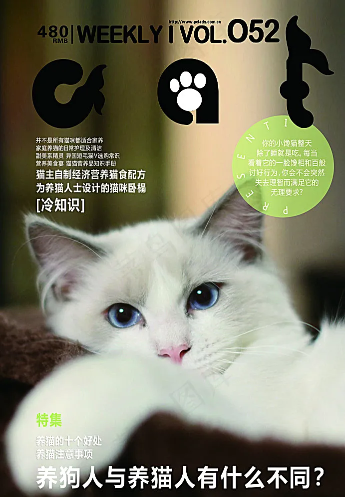 猫咪海报图片(2992X4252(DPI:200))psd模版下载
