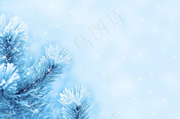 冬季雪景雪花高清图片-3