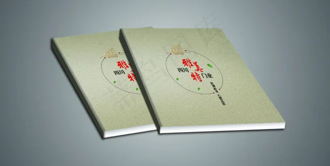 画册封面 复古 中国风 简单大...psd模版下载